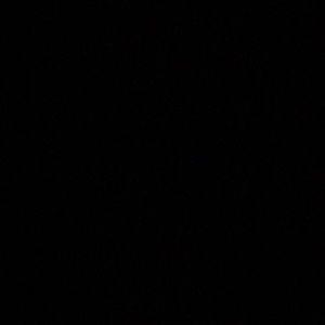 Meet your Posher, Abraham